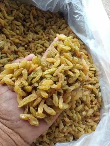 raisins